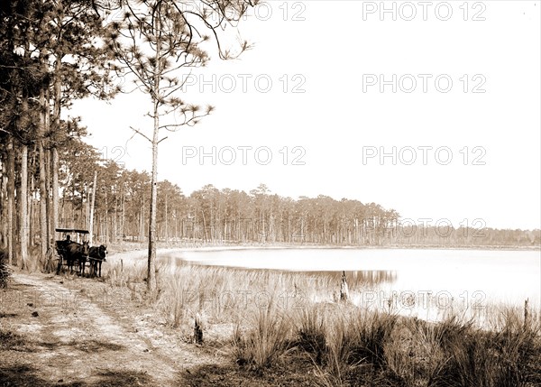 Lake Louise near Seville, Fla, Jackson, William Henry, 1843-1942, Lakes & ponds, Waterfronts, United States, Florida, Louise, Lake, United States, Florida, Seville, 1880
