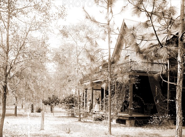 Florida home, Seville, Fla, A, Jackson, William Henry, 1843-1942, Dwellings, United States, Florida, Seville, 1880