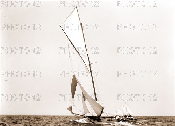 Beatrix, Harpoon (Yacht), Yachts, 1891