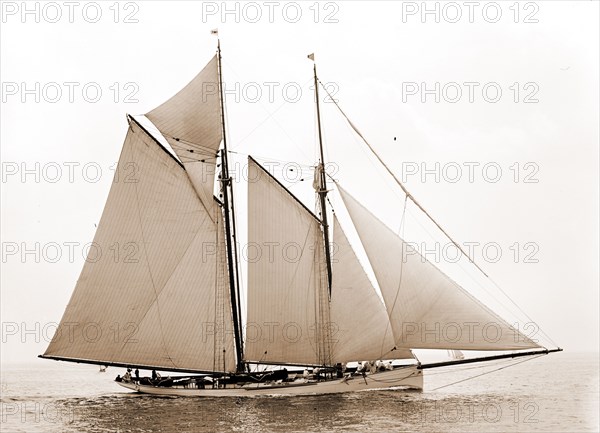 Mayflower, Mayflower (Schooner), Yachts, 1891