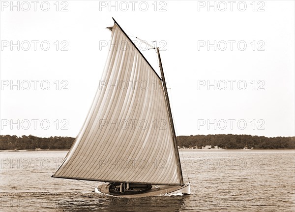 Rocket, Rocket (Sailboat), Sailboats, 1880