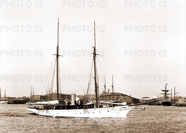 Wild Duck, Wild Duck (Steam yacht), Steam yachts, 1891