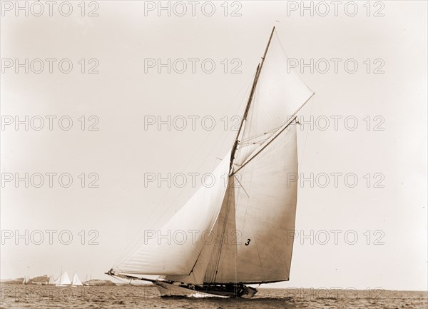 Beatrix, Harpoon (Yacht), Yachts, 1891