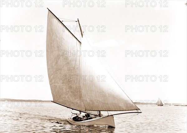 Josephine, Josephine (Sailboat), Sailboats, 1880