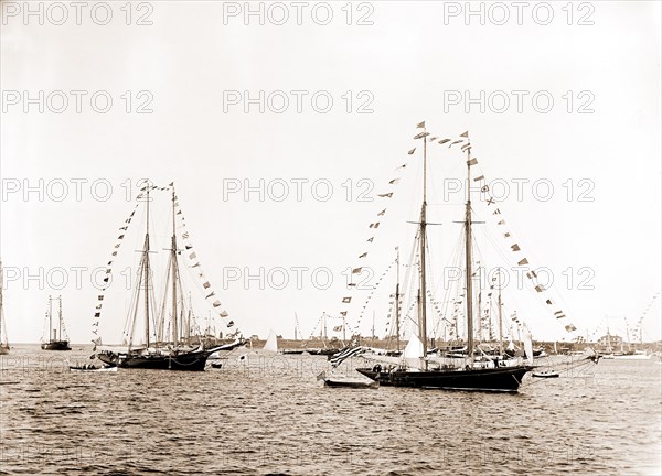 N.Y.Y.C. fleet, Vineyard Haven, New York Yacht Club, Yachts, Yacht clubs, United States, Massachusetts, Vineyard Haven, 1892