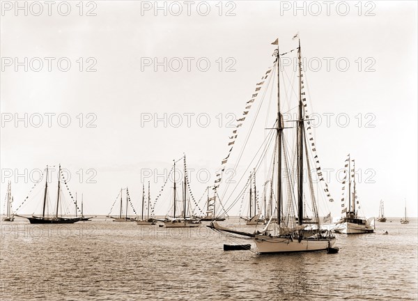 N.Y.Y.C. fleet, Vineyard Haven, New York Yacht Club, Yachts, Yacht clubs, United States, Massachusetts, Vineyard Haven, 1892