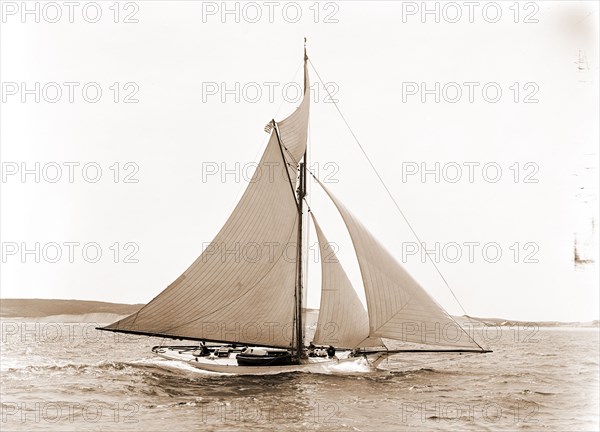 Babboon, Babboon (Yacht), Morgan Cup race, Regattas, Yachts, 1892