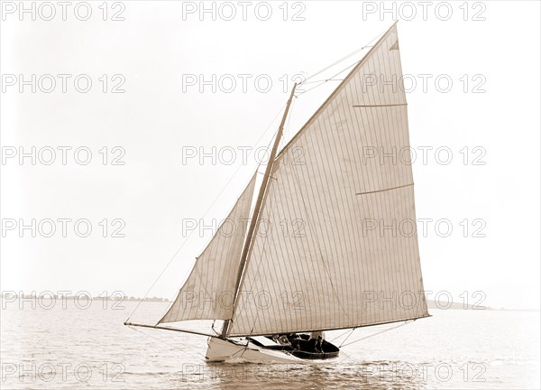 Idler, Idler (Yacht), Yachts, 1880