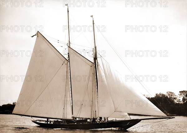 Ariel, Ariel (Schooner), Yachts, 1893