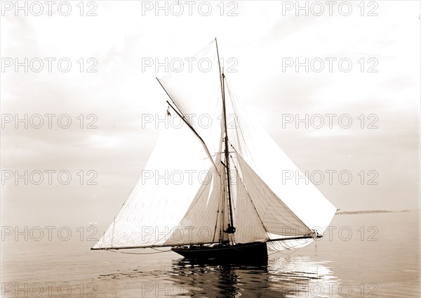 Beetle, Beetle (Yacht), Yachts, 1888