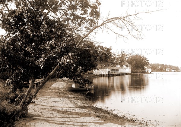 Landing at Assembly Hotel No. 2, Lake Orion, Mich, Assembly Hotel No. 2 (Lake Orion, Mich.), Lakes & ponds, United States, Michigan, Lake Orion, United States, Michigan, Orion, Lake, 1890