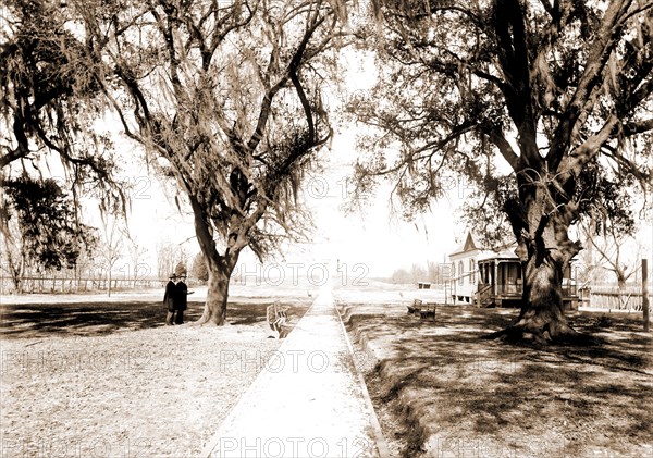 Battle monument, Chalmette, Monuments & memorials, New Orleans, Battle of, New Orleans, La, 1815, Battlefields, United States, Louisiana, Chalmette, 1900