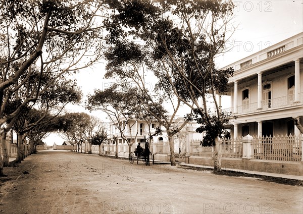 Residences in El Vedado, Havana, Dwellings, Cuba, Havana, 1900