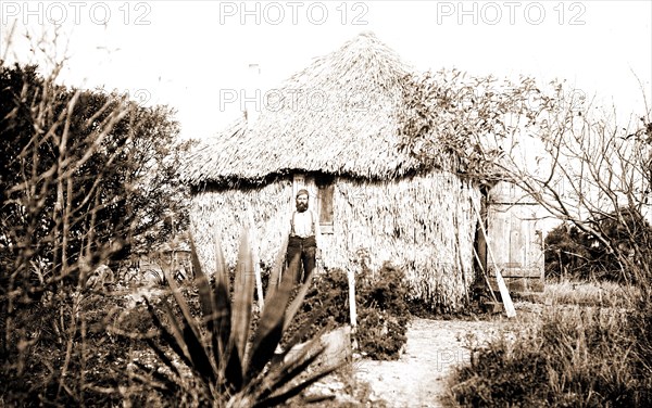 Thatched cottage at Barker's, Jackson, William Henry, 1843-1942, Cactus, Thatched roofs, Dwellings, United States, Florida, 1880