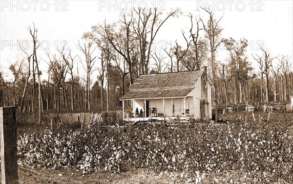 Home of the cotton picker, Jackson, William Henry, 1843-1942, Cotton, Labor housing, Dwellings, 1880