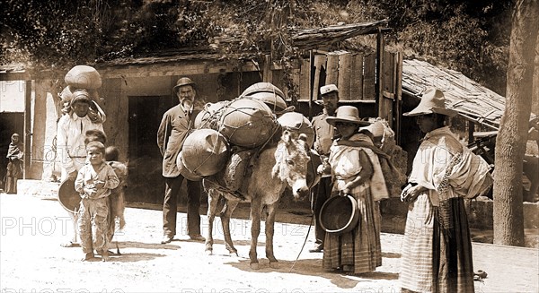 Street scene, City of Mexico, Jackson, William Henry, 1843-1942, Donkeys, Peddlers, Streets, Mexico, Mexico City, 1880