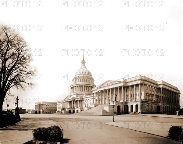 The Capitol at Washington, Jackson, William Henry, 1843-1942, United States Capitol (Washington, D.C.), Capitols, United States, District of Columbia, Washington (D.C.), 1900