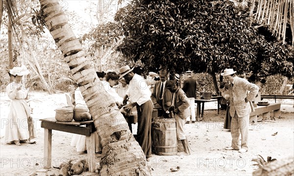 Tourists buying coconuts and fruit from vendor, probably Nassau, Bahamas, Food vendors, Tourists, Eating & drinking, Bahamas, Nassau, 1900