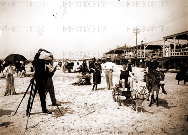 They were on their honeymoon, Photography, Goat carts, Donkeys, Riding, Beaches, Honeymoons, United States, Florida, Saint Augustine, 1900