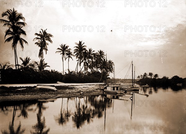 Miami River evening, Waterfronts, Palms, Sunrises & sunsets, United States, Florida, Miami River, United States, Florida, Miami, 1901