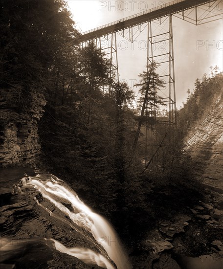 Stony Brook glen, Shawmut Bridge, Dansville, N.Y, Bridges, Canyons, Waterfalls, United States, New York (State), Dansville, 1890