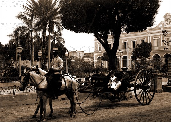 Cuban volanta, A, Carriages & coaches, Cuba, Havana, 1890