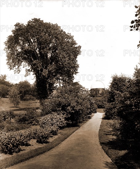 On the path to paradise, the campus, Smith College, Walkways, Universities & colleges, United States, Massachusetts, Northampton, 1904