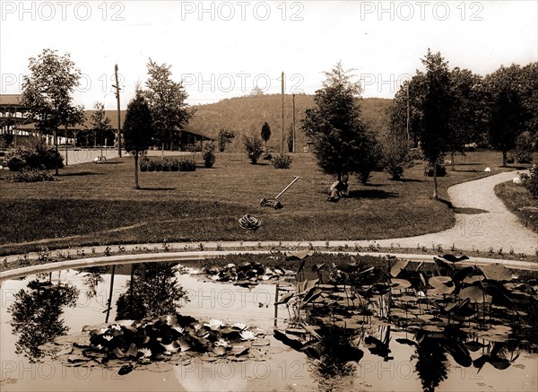 Lily pond, Mountain Park, Mt. Tom, Mass, Parks, Lily ponds, United States, Massachusetts, Tom, Mount, 1900