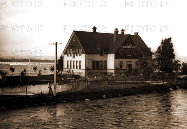 State fish hatchery, Sault Ste. Marie, Mich, Fish hatcheries, Waterfronts, United States, Michigan, Sault Sainte Marie, 1905