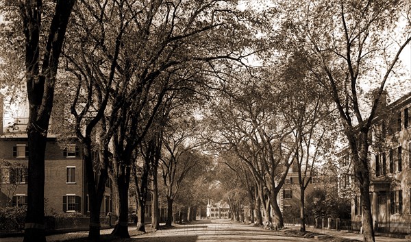 Chestnut St, Salem, Mass, Streets, Dwellings, United States, Massachusetts, Salem, 1906