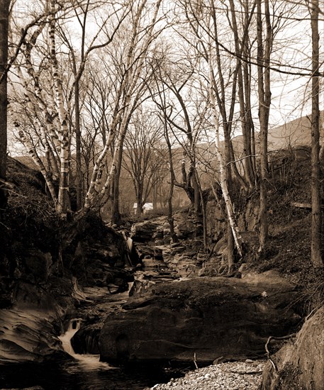 Rocks and birches, Berkshire Hills, Mass, Waterfalls, Birches, United States, Massachusetts, Berkshire Hills, 1906