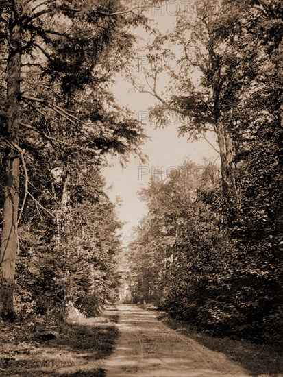 The Drive on Presque Isle Park, Lake Superior, Lakes & ponds, Parks, United States, Michigan, Marquette, United States, Superior, Lake, 1898