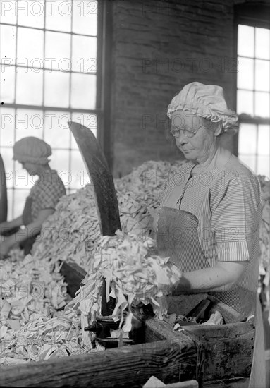 Mt. Holyoke, Massachusetts - Paper. American Writing Paper Co. Rag sorting (Irish), 1936 , Lewis Hine, 1874 - 1940, was an American photographer, who used his camera as a tool for social reform. US,USA
