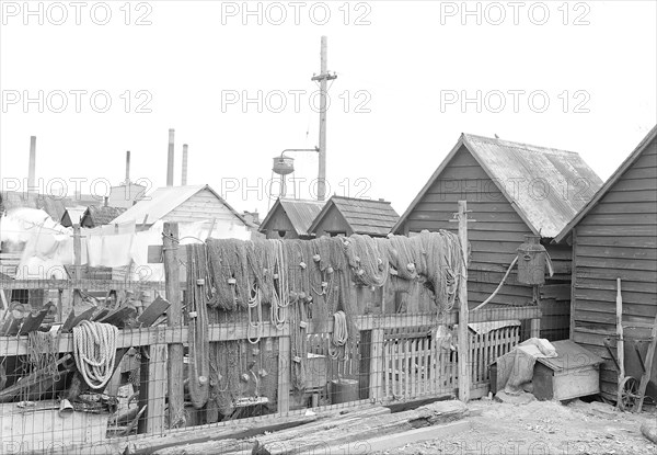 Millville, New Jersey - Scenes. A view of back yards of Whitall Tatum Company houses looking toward Whitall Tatum upper plant, 1936, Lewis Hine, 1874 - 1940, was an American photographer, who used his camera as a tool for social reform. US,USA