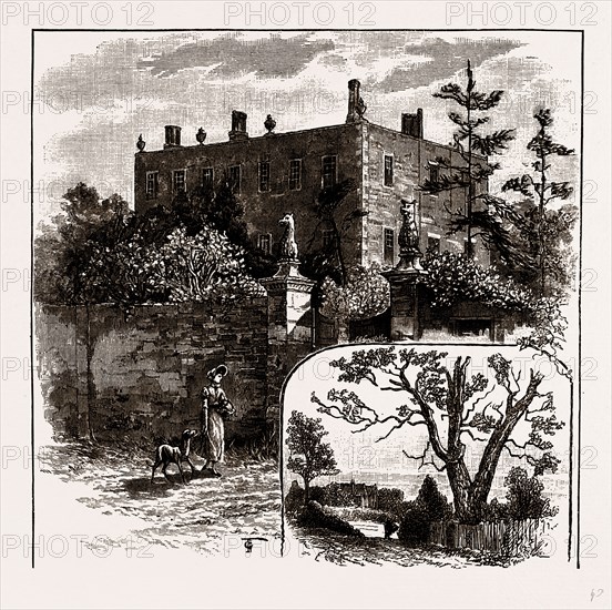 FINCHLEY MANOR HOUSE AND TURPIN'S OAK, UK, engraving 1881 - 1884