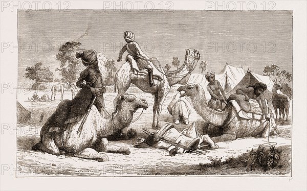 INDIA, CAMEL RIDERS OF A NATIVE CAVALRY REGIMENT PREPARING FOR A MARCH, 1876