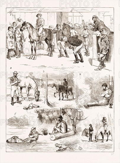 SCENES OF AUSTRALIAN LIFE, 1876: 1. Horse Sale, Rockhampton, Queensland. 2. Hobbling a Horse: Arrival in Camp. 3. In the Bush: En Route. 4. Camping Out Alone: at an Alligator. 6. "Droving:" Watching Cattle at Night. 7. "Give us a Light, Jemmy."
