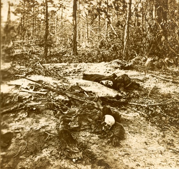 These died, that our Nation might live. We were driven from this field (Wilderness) before we could gather our wounded or bury our dead. This is the way we found the field covered when we returned some months later, US, USA, America, Vintage photography