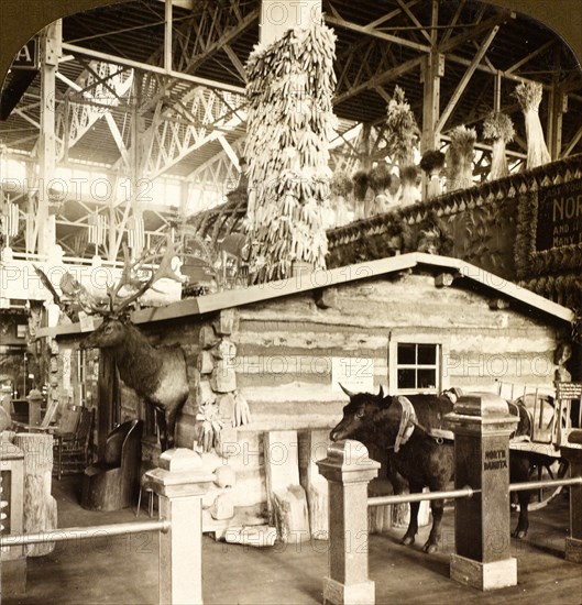 Log cabin occupied by President Roosevelt, when a ranchman in North Dakota, Agricultural Building, Louisiana Purchase Exposition, St. Louis, US, USA, America, Vintage photography