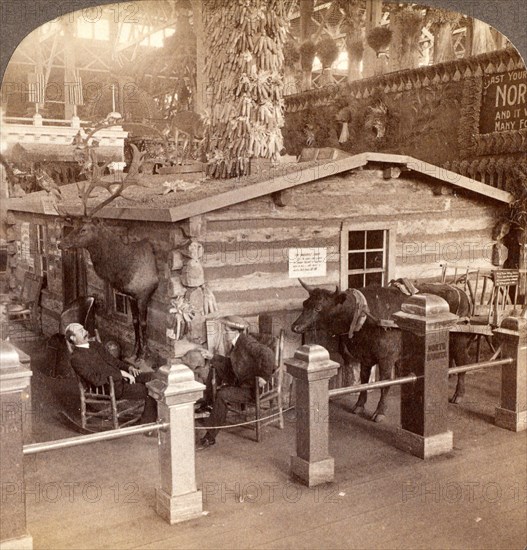 Log cabin home of President Roosevelt brought from North Dakota to the World's Fair, St. Louis, US, USA, America, Vintage photography