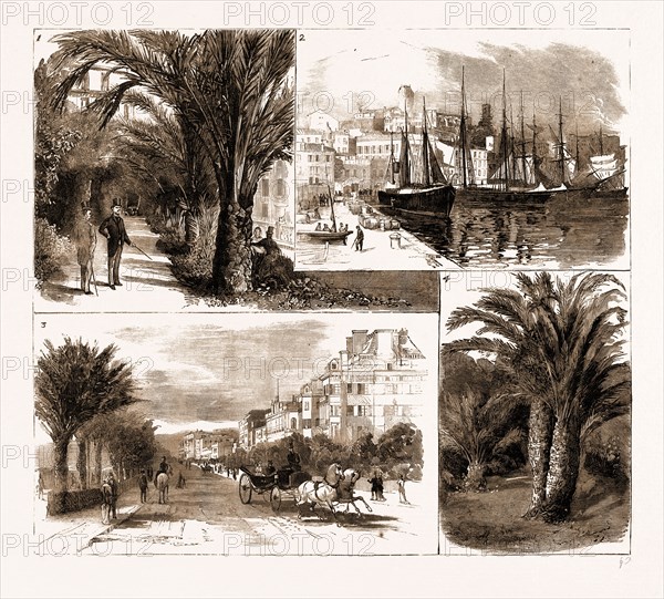 THE VISIT OF THE PRINCE OF WALES TO CANNES AND NICE, FRANCE, 1883: 1. In the Garden of the Hotel du Pavillon, Cannes, where the Prince of Wales is Staying. 2. The Harbour, Cannes. 3. Promenade des Anglais, Nice. 4. Palm Tree in the Garden of the ChÃ¢teau Vallombrosa, Cannes.