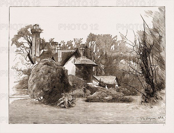 A SKETCH IN PROFESSOR OWEN'S GARDEN AT SHEEN, NEAR RICHMOND, LONDON, UK, 1883