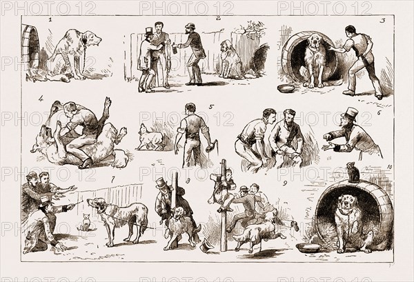 DOSING A DOG, 1883: 1. Our St. Bernard Showed Symptoms of Illness. 2. An Amateur Vet is Called in and Pronounces that the Anim 1 has taken Poison. 3. The Emetic: "Good Doggie." 4. You Must Force Your Way if You Cannot Cajole It. 5. "Well, He Didn't Get Much of the Medicing." 6. At Ingth We Determine to Give Him a Pill. 7. The Amateur Vet Tried His Hand. 8. Another Trial. 9. But the Dog Broke Loose. 10. And Strange to Say He Quickly Recovered.