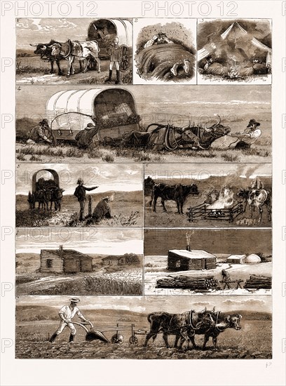 SCENES FROM AN EMIGRANT'S LIFE IN MANITOBA, CANADA, 1883: 1. Emigrants on the Way to their Allotment. 2. A "Muggy" Night. 3. "Smudging" Mosquitoes. 4. In a Slough. 5. Arrival at the Camping Ground. 6. Oxen Seeking Protection from Mosquitoes at a "Smudge." 7. The Log House in Summer. 8. The Log House in Winter. 9. Breaking Up the Land.