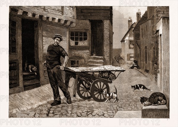 "THE BOY OF MANY FRIENDS", FROM THE PAINTING BY FRANK CALDERON, EXHIBITED AT THE ROYAL ACADEMY, UK, 1883