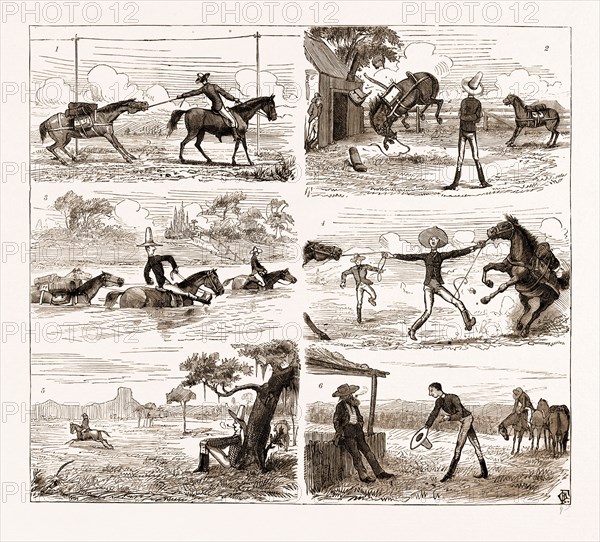 AN OVERLAND JOURNEY FROM QUEENSLAND TO SYDNEY WITH A NEW CHUM, AUSTRALIA, 1883: 1. The New Chum's Pack-Horse Declines to be Led. 2. And then Disposes of His Pack. 3. Crossing tte Macintyre : Hold Your Legs Up Like Mine." 4. An Awkward Predicament. 5. Scouting to Find the Track Lost in Coming over the "Blue Nobbie Run." 6. Astonishing the Bushman: "Kindly Inform Me if this is the Way to Warroo."