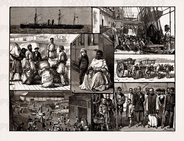 TO BOMBAY AND CHINA ON A P.&O. STEAMSHIP, 1886: 1. The "Massilia". 2. Sorting the Indian Mails in the Red Sea. 3. A Study in Black and White. 4. Washing Decks in the Red Sea at 6 A.M. 5. Prince's Dock, Bombay, The "Massilia's" Cargo for China. 6. Bullock Carts waiting for Cargo at Singapore. 7. Chinese Coolies in Shanghai.