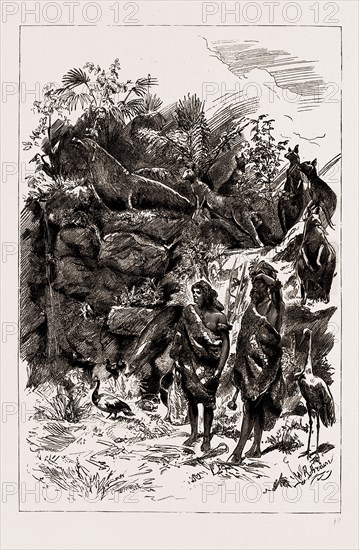 THE COLONIAL AND INDIAN EXHIBITION, 1886: THE FOREST SCENE, VICTORIAN COURT
