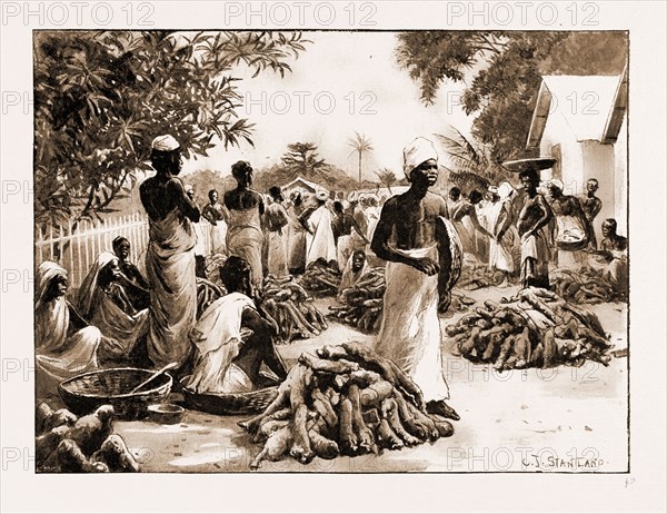 THE ROYAL NIGER COMPANY'S EXPEDITION: EVERYDAY SCENES ON THE RIVER NIGER, 1897: WOMEN SELLING YAMS AT ASABA ON THE NIGER
