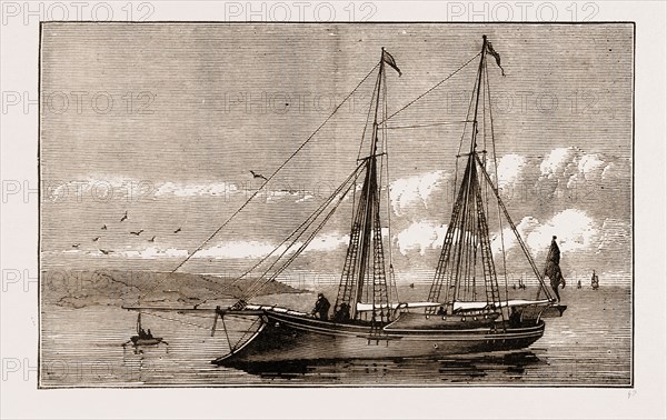 THE NEW YACHT, KALA FISH, 1873